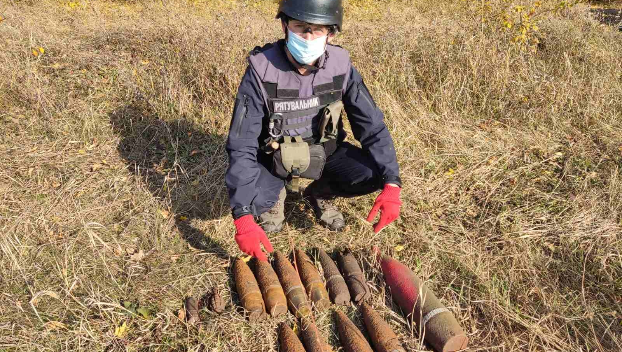 Пиротехники изъяли десятки боеприпасов на Донетчине