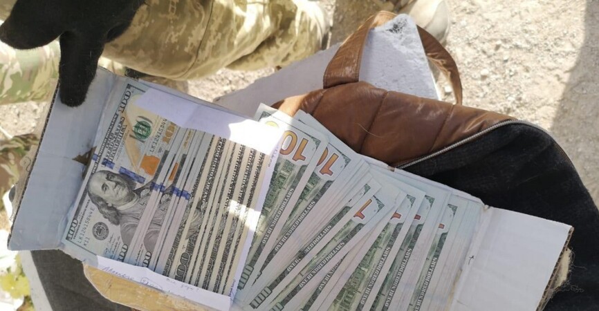 На КПВВ «Новотроицкое» женщина спрятала шесть тысяч долларов в собачью переноску