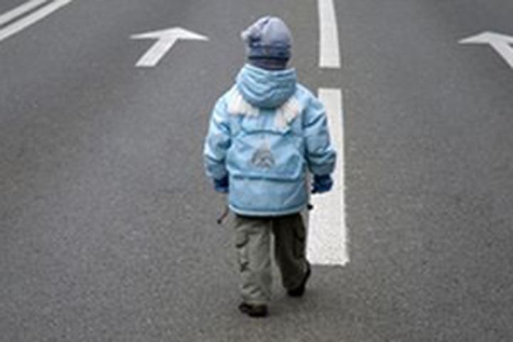 На трассе Краматорск – Славянск водитель предохранил от опасности жизнь 7-летнего мальчика