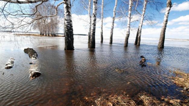 Паводок принес убытка на миллионы гривень в Закарпатской области