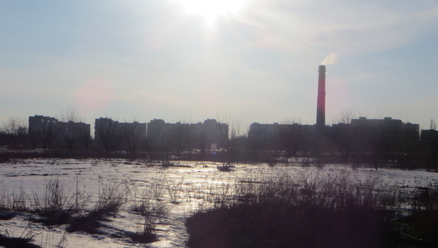 Покровск: городской совет просит жителей освободить землю, которую они незаконно заняли под огороды