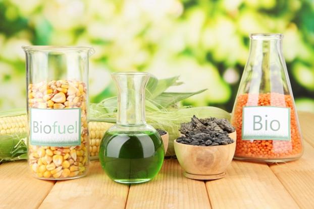 10 августа: Международный день биодизеля