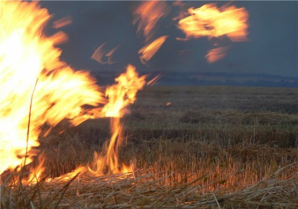 Обстрел уничтожил хлеба на поле в Донецкой области