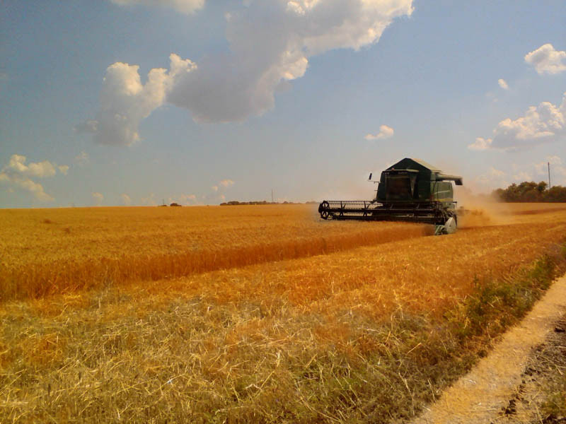 В Добропольском районе начали праздновать окончание сбора зерновых