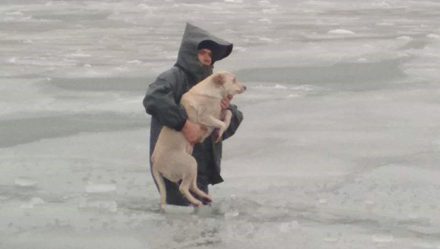 Как в Мариуполе спасали провалившуюся под лед собаку 