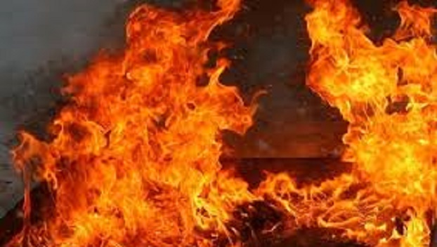 В Добропольском районе при пожаре погибла женщина 