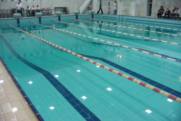 Покровский спорткомитет организует поездки в бассейн