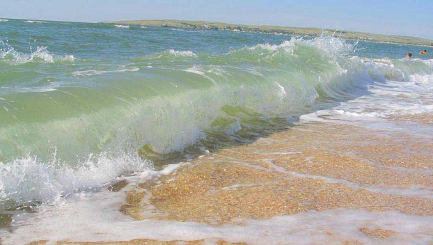 Азовское море превращается в помойку 