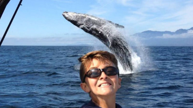 Вот это реакция: Мальчик успел сделать удачное фото с китом