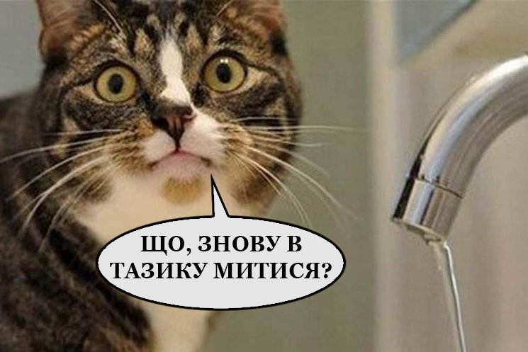 7 ноября города Донецкой области останутся без воды 