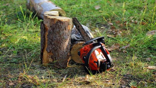 В Константиновском районе скоро не останется лесополос и защитных зон