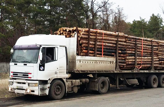 2 факта незаконных перевозок древесины выявлено на блокпостах Донбасса 