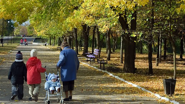 В Донецкой области восстанавливают городские парки и скверы