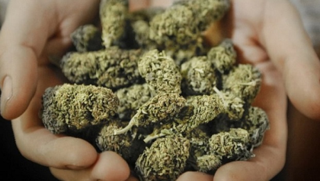 У жителя Кропивницкого нашли 100 кг марихуаны 