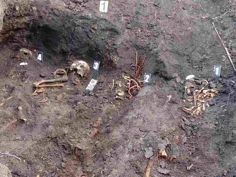 Житель Александровского района обнаружил на своем огороде останки немецких солдат