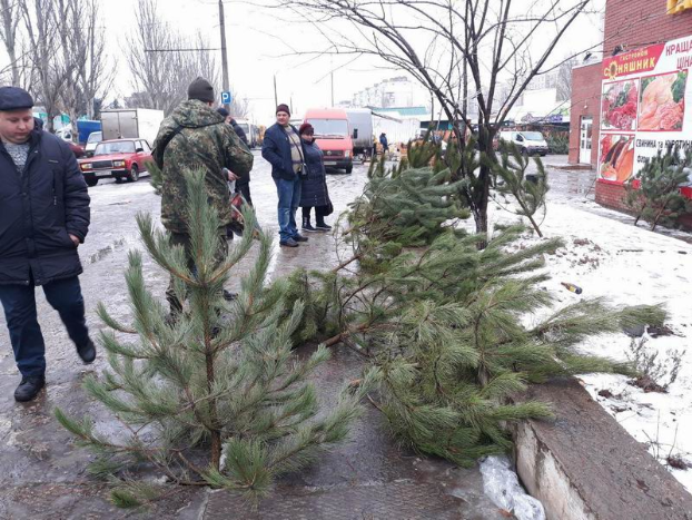 В Славянске проходят проверки касательно незаконной торговли ёлками