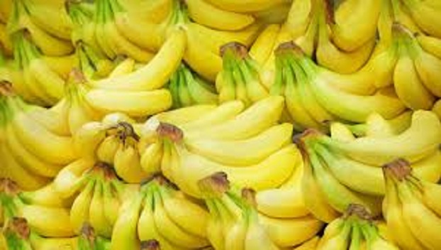 Бананы могут исчезнуть из магазинов из-за опасного грибка 