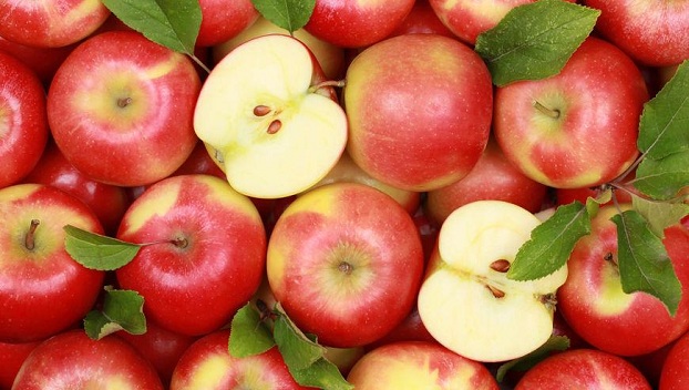 В Германии бесплатно раздают яблоки