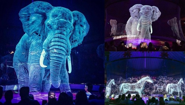 В Германии в цирке дрессированных животных заменили голограммами