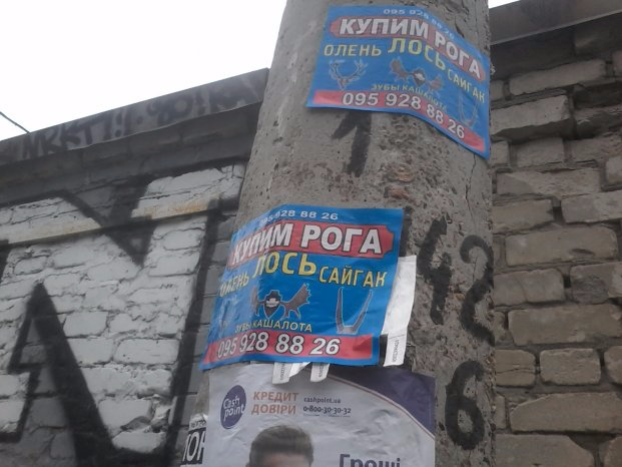 В Дружковке объявили войну рекламе на столбах