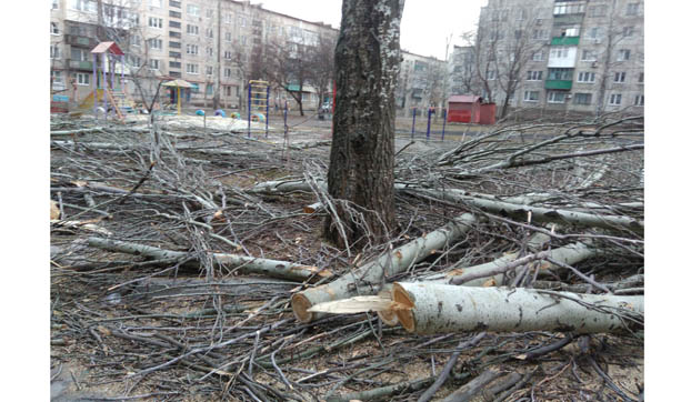 Льготники Покровска бесплатно получат дрова от городского совета