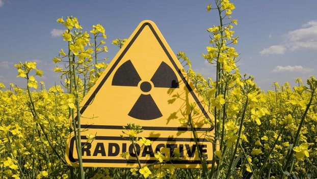 В США обеспокоены возможным радиоактивным загрязнением Донбасса