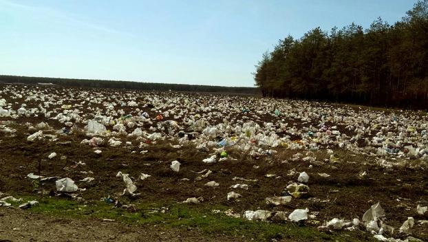 Леса в Лимане утопают в мусоре