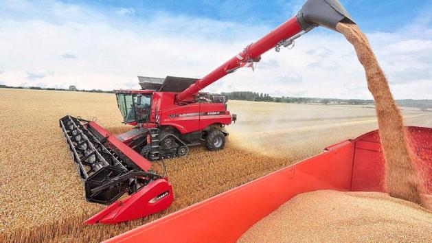 Украина в этом году намолотила более 40 млн тонн зерна 
