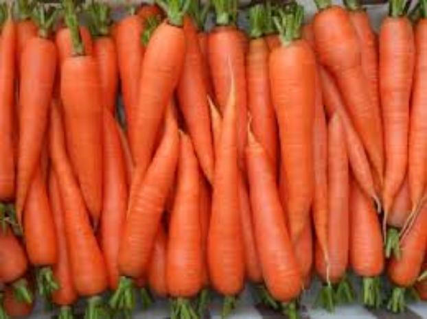 Когда в Украине подешевеет морковь