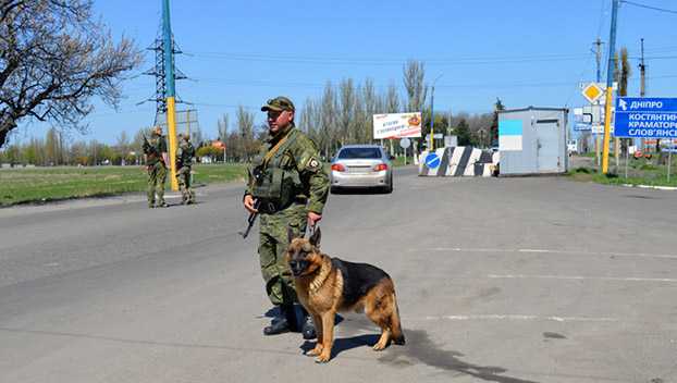 Собака достала из кармана парня три гранаты в Покровске
