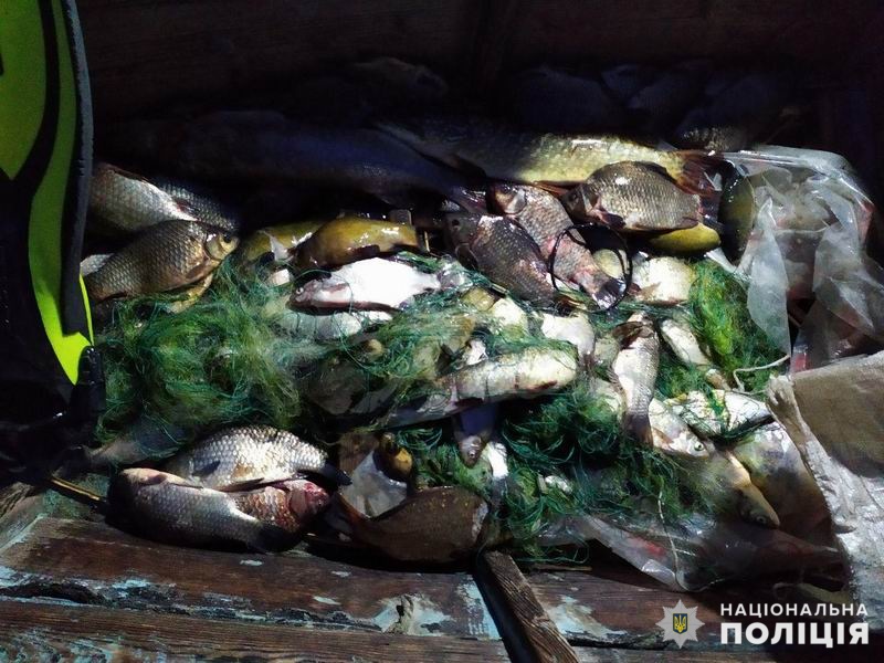На Донетчине изъяли почти тонну незаконно выловленной рыбы