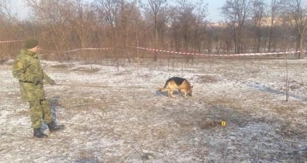 Кривой Рог: Собака откопала тело ребенка