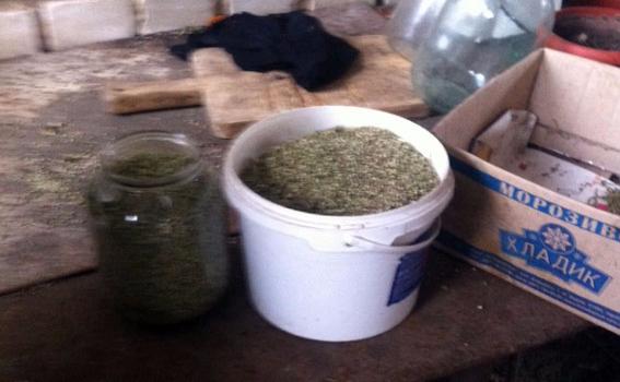 Житель Краматорска хранил дома 10 кг конопли