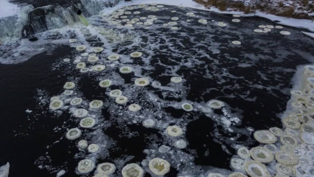 В Казенном Торце обнаружены загадочные круги на воде — фото