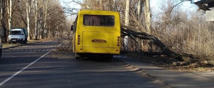 В Донецке погиб пассажир такси: упало дерево
