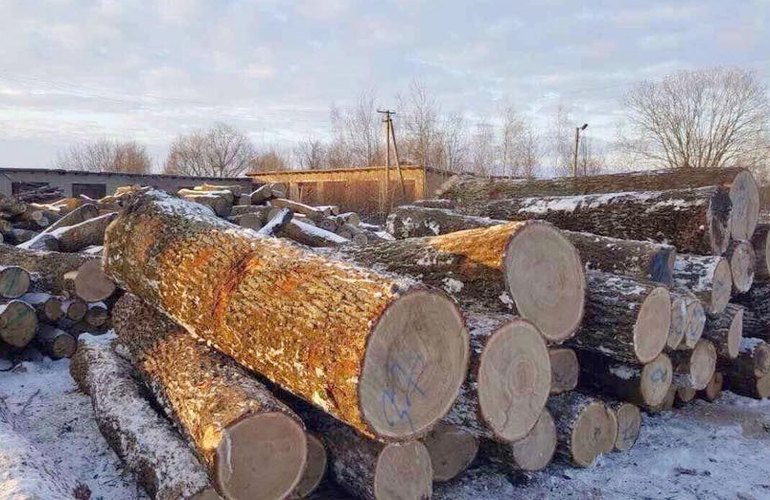 За незаконну вирубку дерев у Костянтинівці та Дружківці з винних стягнули велику суму