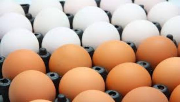 Эксперт и предприниматели рассказали, что будет с ценами на яйца