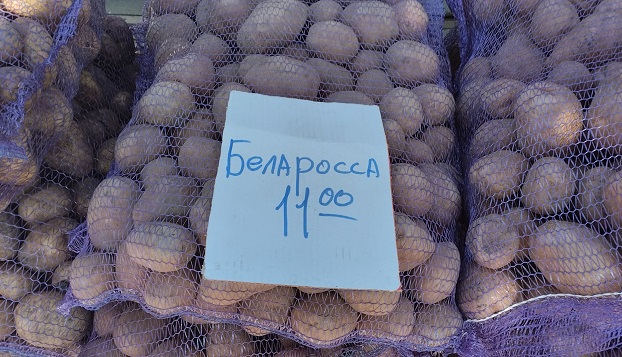 В Костянтинівці подешевшала картопля: Можна заготовляти на зиму