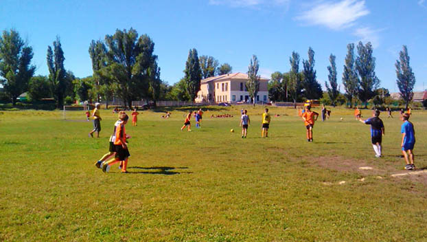 Футболисты Добропольской ДЮСШ заняли первое место в областном турнире