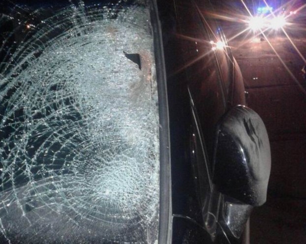 На трассе между Краматорском и Славянском в результате ДТП погиб пешеход