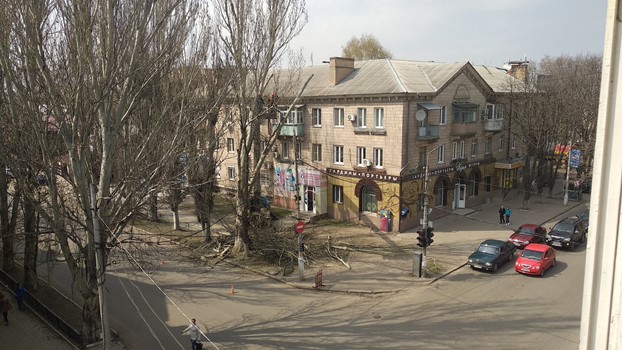 В Славянске завершают кронирование тополей на центральных улицах