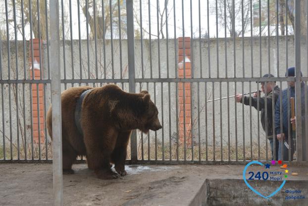 Как в мариупольском зоопарке медведя спасали
