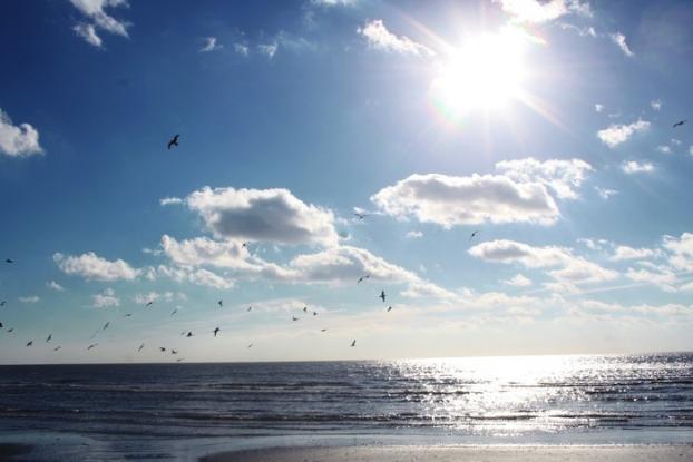 На Городском пляже Мариуполя количество кишечной палочки в воде в 48 раз превышает норму