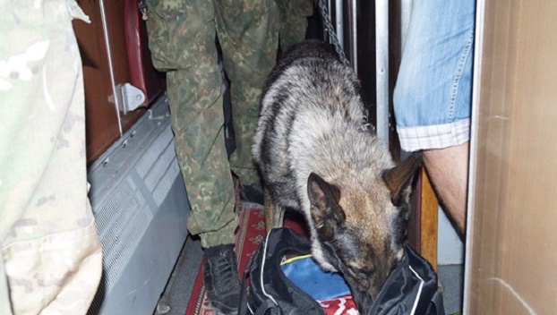 В Луганской области нашли 27 гранат на железнодорожной станции 