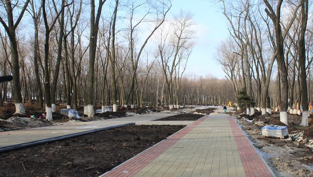 Покровск: Почему парк «Юбилейный» станет «Щедриком»?