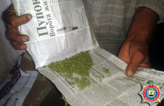 Житель Красноармейска привлекается к ответственности за хранение марихуаны 