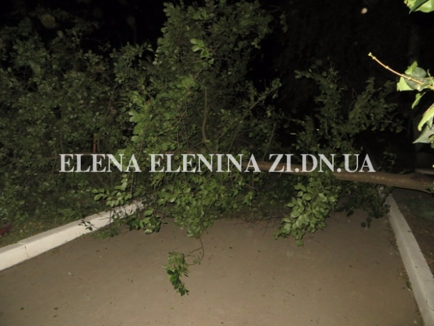 В Покровске разгулялся ураган: оборваны линии электропередач, горят трансформаторы, падают деревья