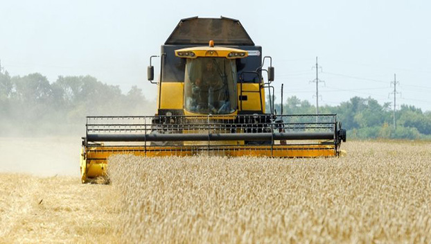 Минагропрод уточнил прогноз урожая зерновых в этом году 