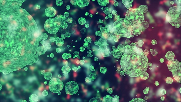 Ученые рассказали, сколько вирусов живет на Земле