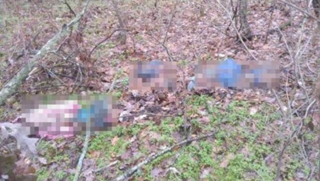 Обнаружены тела женщины и двоих детей в Одесской области